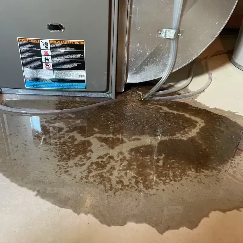 Appliance Leak Cleanup in Saint Francis, WI